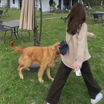 玲珑局